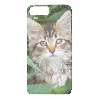 Tabby Kitten iPhone 7 plus case