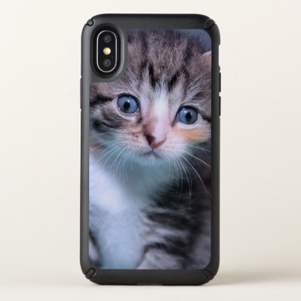 TABBY KITTEN IPHONE CASE