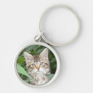 Tabby Kitten Keychain