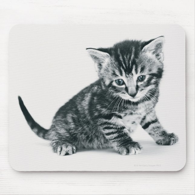 Tabby Kitten Mouse Pad (Front)