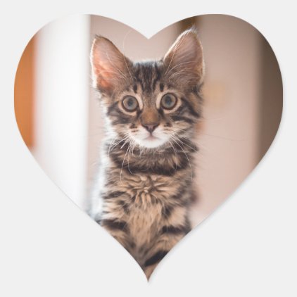 Tabby Kitten on the Table Heart Sticker