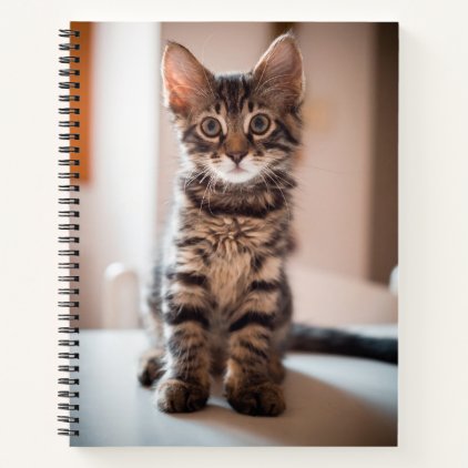 Tabby Kitten on the Table Notebook