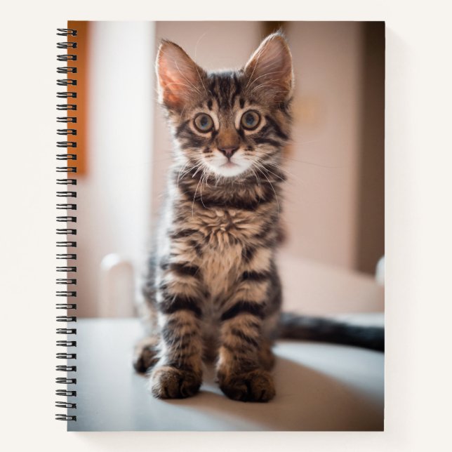 Tabby Kitten on the Table Notebook (Front)