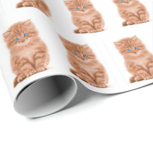 Tabby Kitten On White  Wrapping Paper