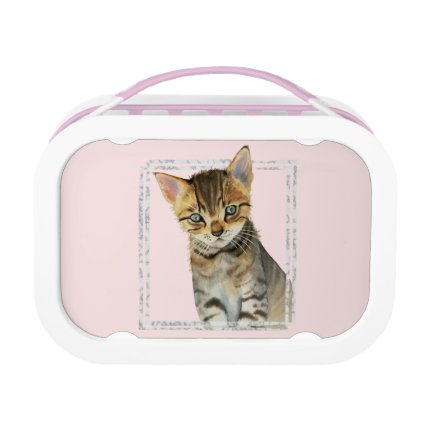 Tabby Kitten Painting with Faux Marble Frame Lunch Box