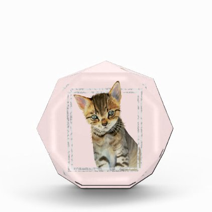 Tabby Kitten Painting with Faux Marble Frame Photo Block