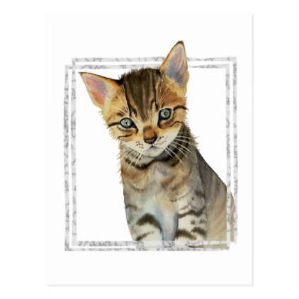 Tabby Kitten Painting with Faux Marble Frame Postcard