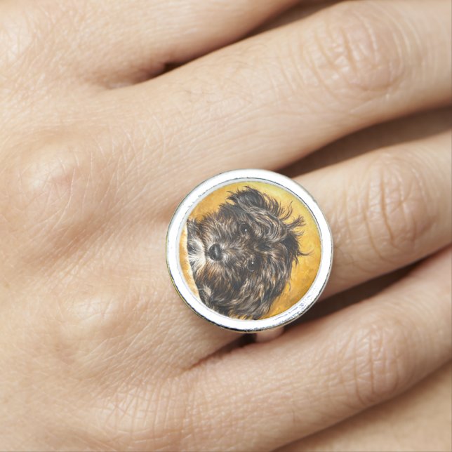 Tabby Kitten Photo Ring (In Situ)