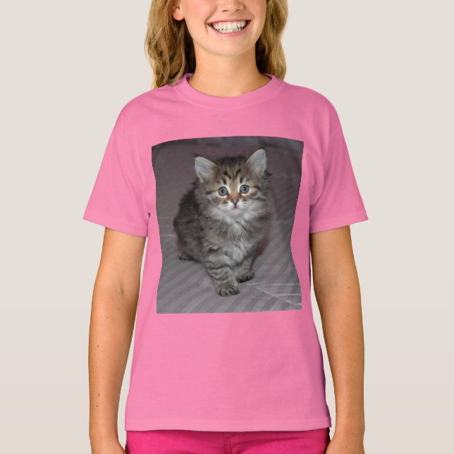 Tabby Kitten Shirt (Front)