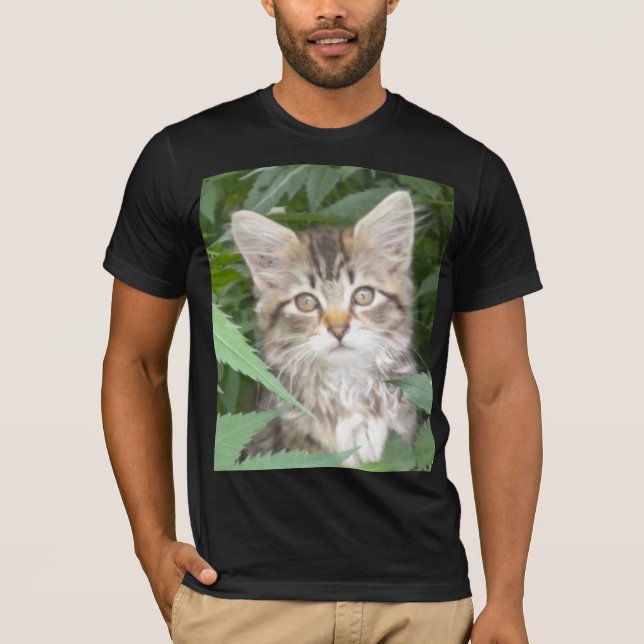 Tabby Kitten T-Shirt (Front)