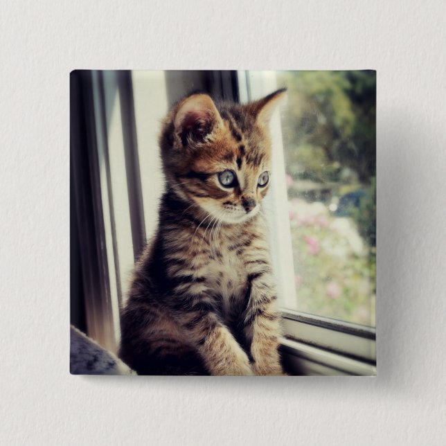 Tabby Kitten Watching Button (Front)