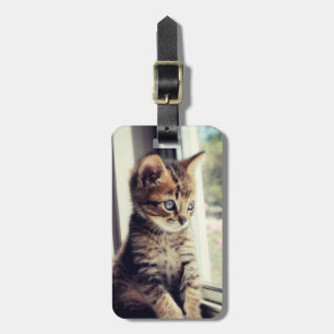 Tabby Kitten Watching Luggage Tag