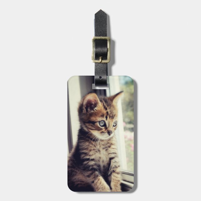 Tabby Kitten Watching Luggage Tag (Front Vertical)