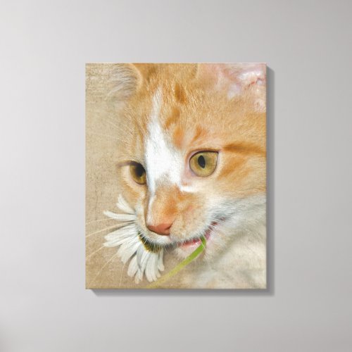 Tabby kitten with daisy canvas print