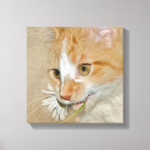 Tabby kitten with daisy canvas print