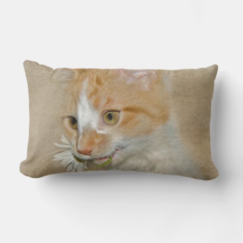 tabby kitten with daisy lumbar pillow