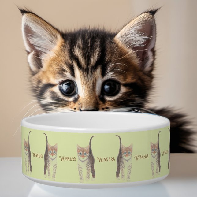Tabby Kitten Yellow Cat Bowl (Creator Uploaded)