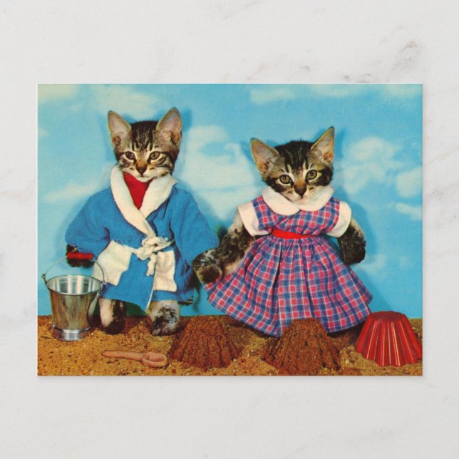 tabby kittens playing on the beach RPPC Postcard (Front)