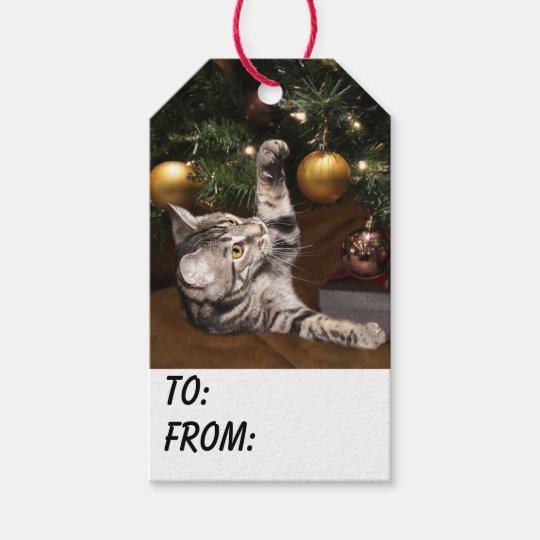 Tabby kitty cat Christmas Gift Tags