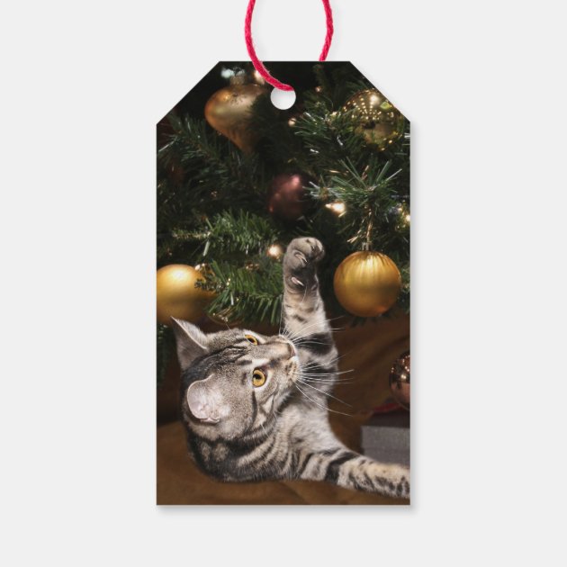 Tabby Kitty Cat Christmas Gift Tags
