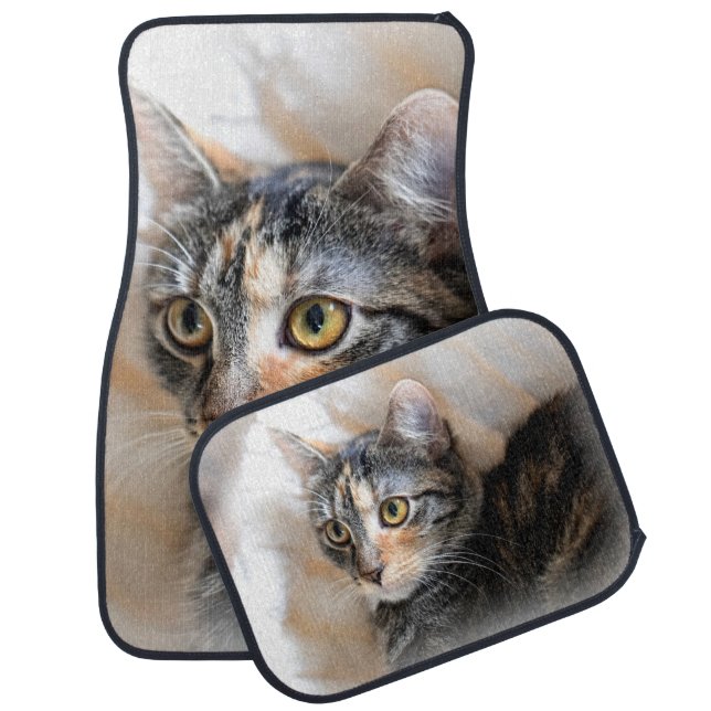 Tabby Kitty Cat Portrait Car Floor Mat (Set)