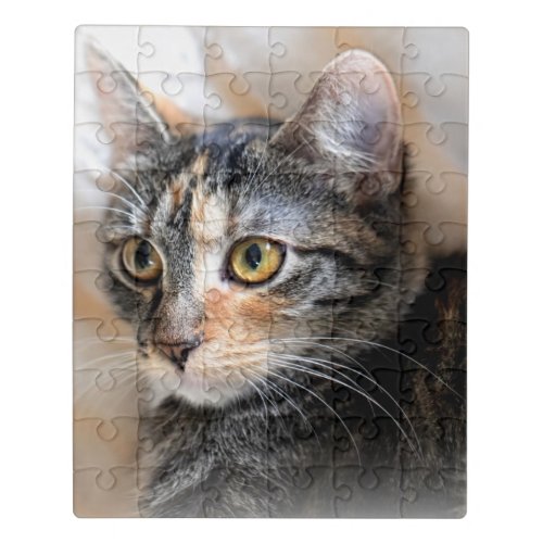 Tabby Kitty Cat Portrait Jigsaw Puzzle