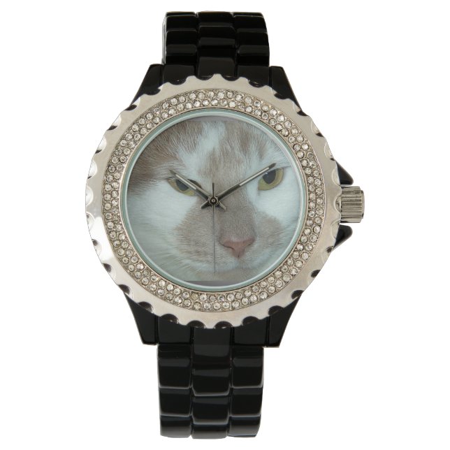 Tabby Kitty Cat Watch (Front)
