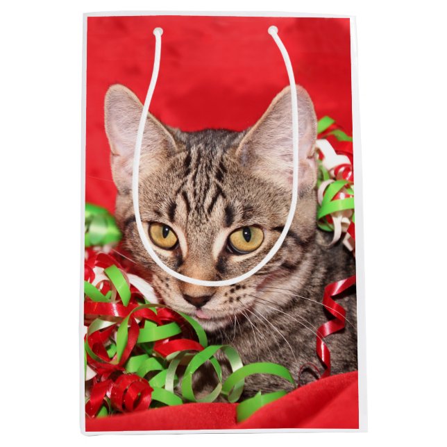 Tabby Kitty Christmas Medium Gift Bag (Front)