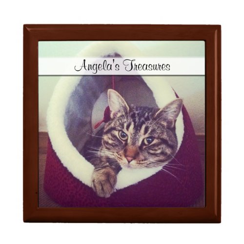 Tabby Kitty In Hut Close_Up Photo Template  Gift Box