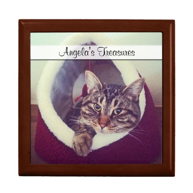 Tabby Kitty In Hut Close-Up Photo Template  Gift Box (Front)