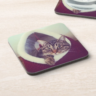 Tabby Kitty In Hut Close-Up Photograph Beverage Coaster