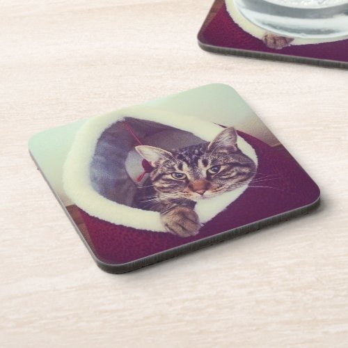 Tabby Kitty In Hut Close_Up Photograph Beverage Coaster