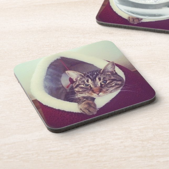 Tabby Kitty In Hut Close-Up Photograph Beverage Coaster (Left Side)