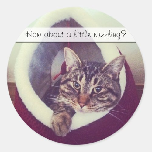 Tabby Kitty In Hut Close_Up Photograph Classic Round Sticker