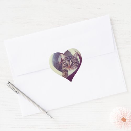 Tabby Kitty In Hut Close_Up Photograph Heart Sticker