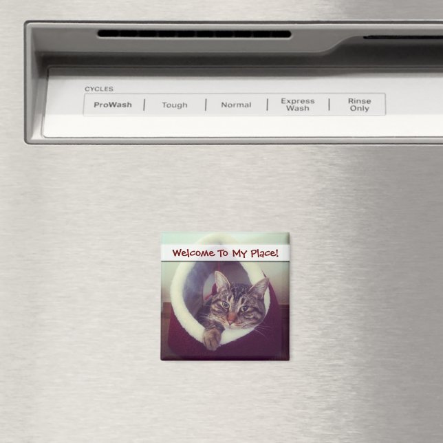 Tabby Kitty In Hut Close-Up Photograph Magnet (In Situ (Dishwasher))