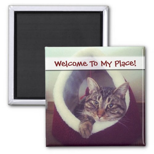 Tabby Kitty In Hut Close_Up Photograph Magnet