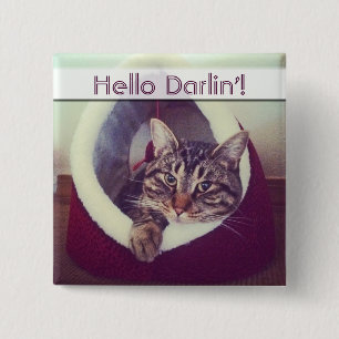 Tabby Kitty In Hut Close-Up Photograph Pinback Button