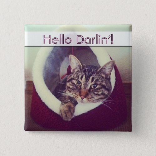 Tabby Kitty In Hut Close_Up Photograph Pinback Button