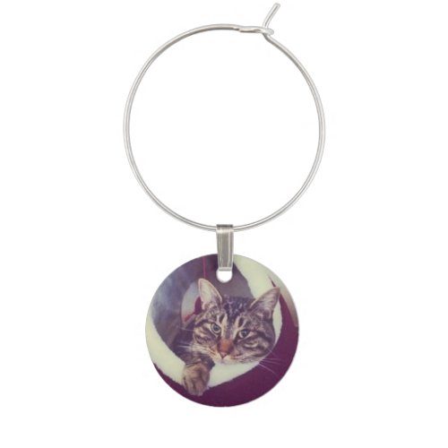 Tabby Kitty In Hut Close_Up Photograph Wine Glass Charm