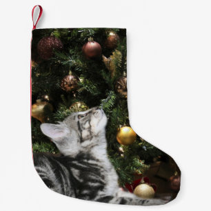 Tabby kitty small christmas stocking