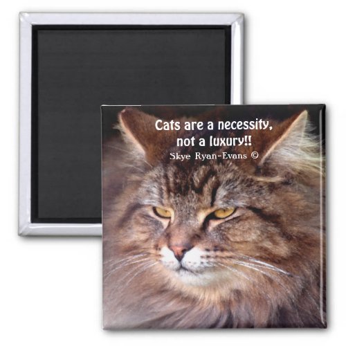 Tabby Maine Coon Cat Lover  Poem Magnet