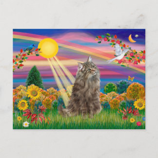 Tabby Norwegian Forest Cat - Autumn Sun Postcard