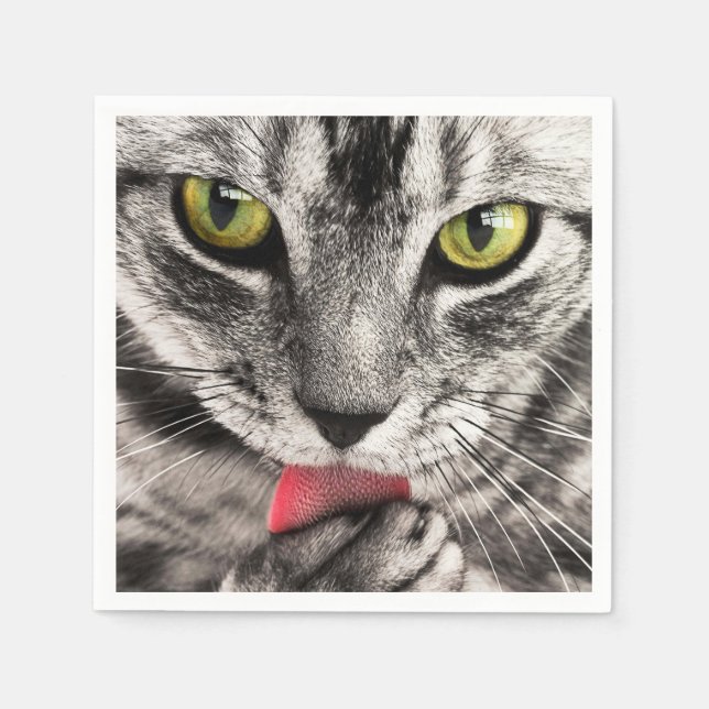 tabby paper napkins (Front)