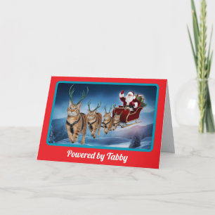 Tabby Reindeer Card