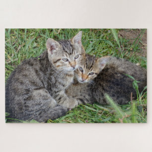 Tabby Sisters Jigsaw Puzzle