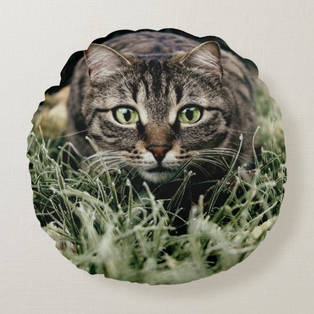 Tabby the Domestic Cat Round Pillow (Front)