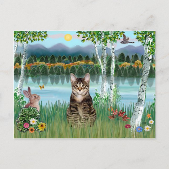 Tabby Tiger Cat  - Birches Postcard (Front)