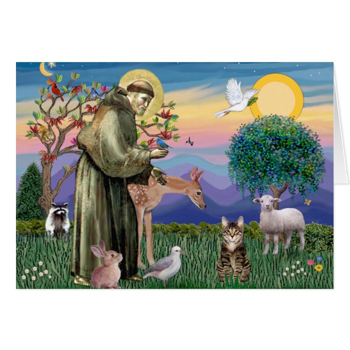 Tabby Tiger Cat   Saint Francis Cards