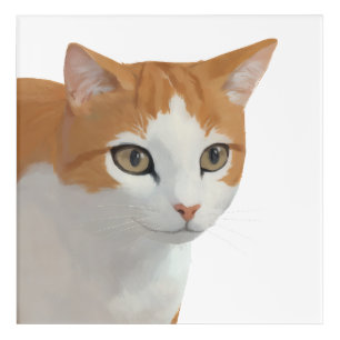 Tabby Treasure Acrylic Print
